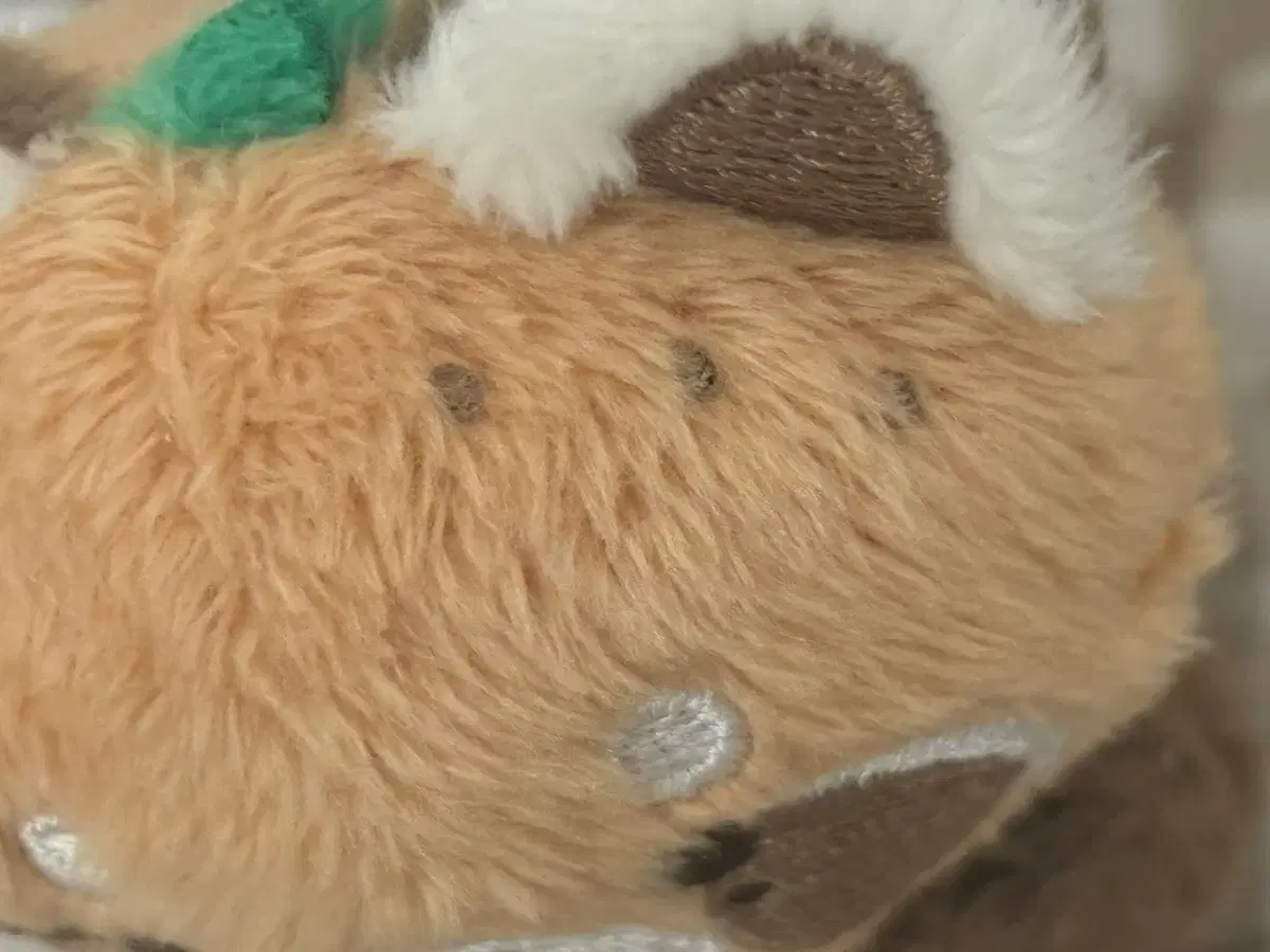 thumbnail-3